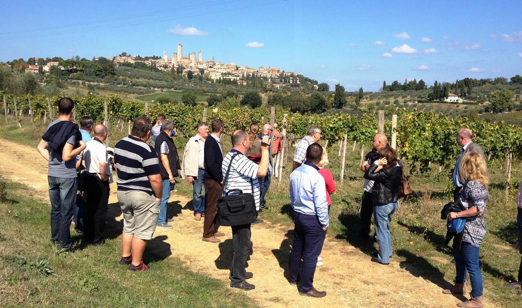 Fattoria Abbazia Monte Oliveto Villa San Gimignano Luaran gambar